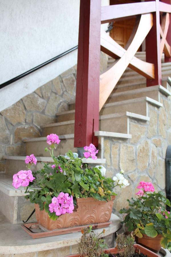 Danubia Apartman Esztergom Esterno foto